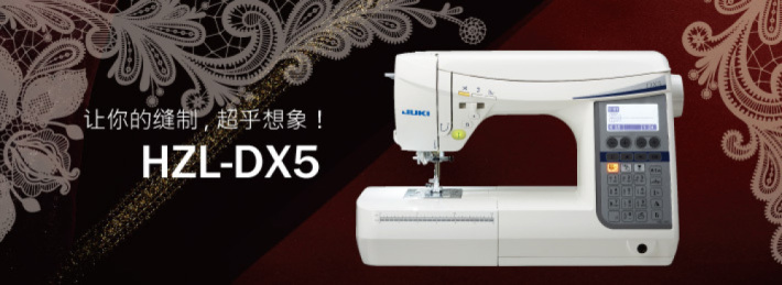 HZL-DX7